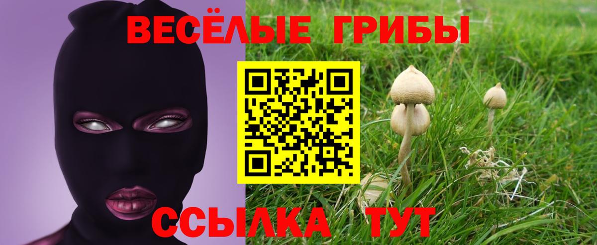 купить наркоту  Вход с VPN  Вышний Волочёк  Галлюциногенные грибы прущие грибы 